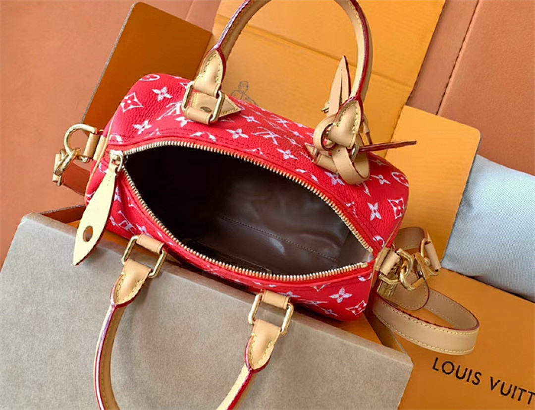 LV Speedy P9 Bandoulière 25 M24425