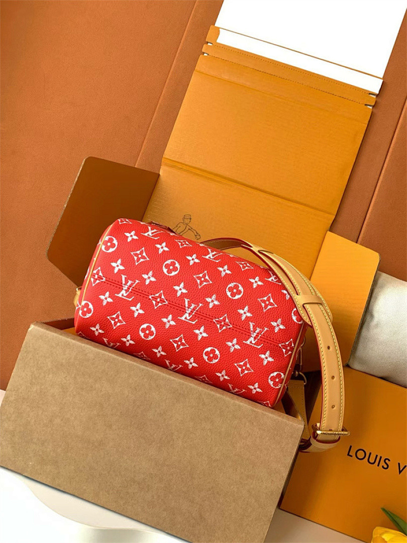 LV Speedy P9 Bandoulière 25 M24425