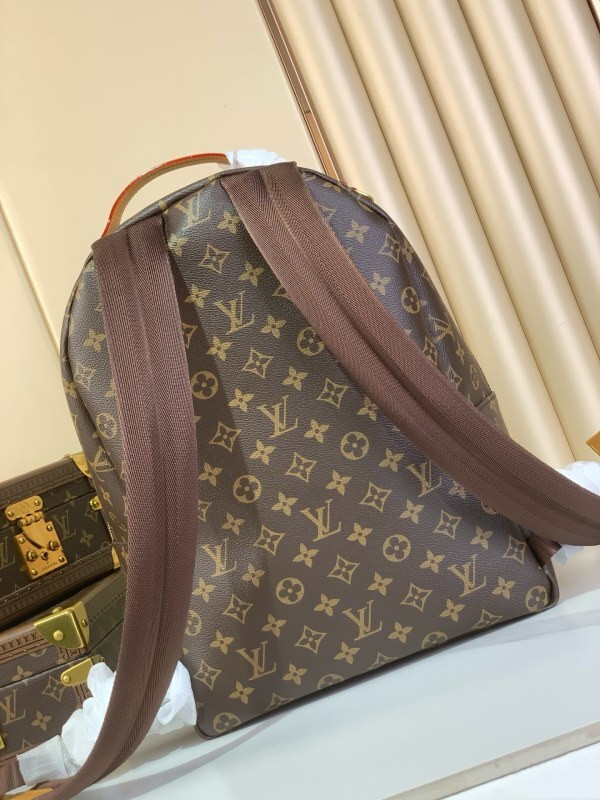 L*uis V*itton Backpack