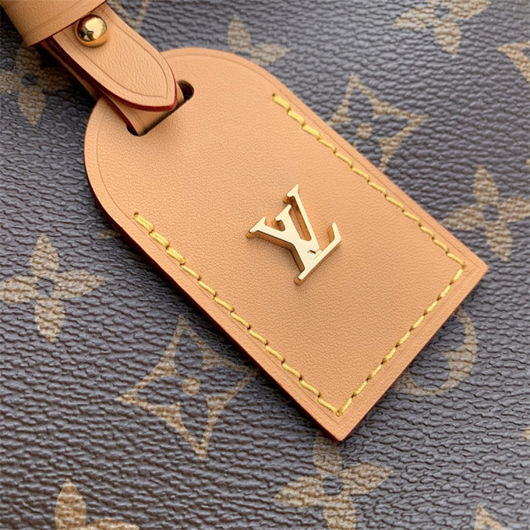 LV CarryAll East West Monogram M28101