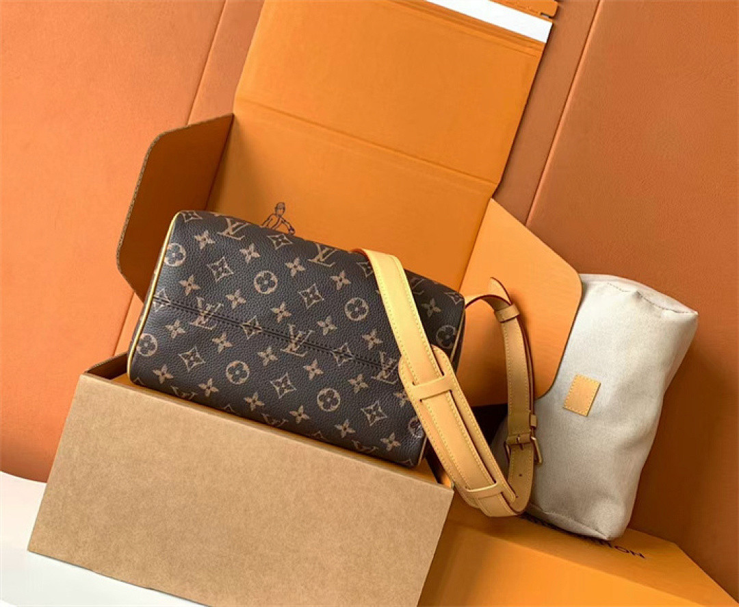 LV Speedy P9 Bandoulière 25 M41113