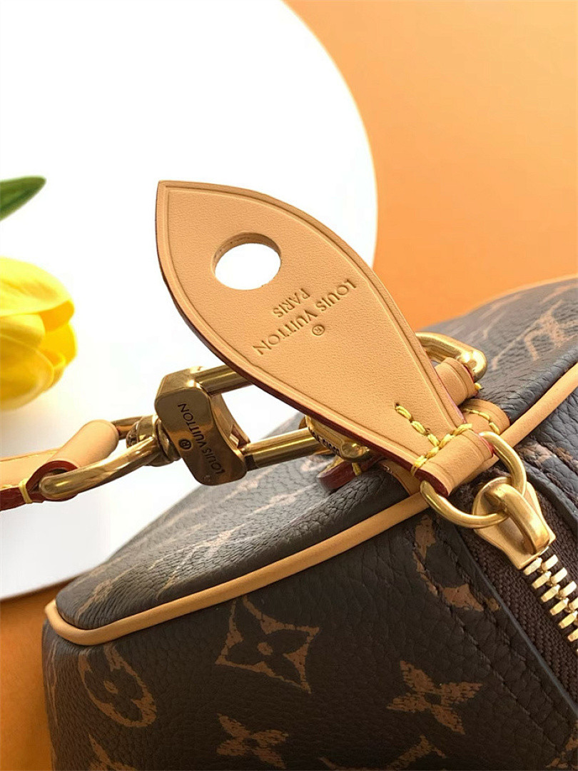LV Speedy P9 Bandoulière 25 M41113