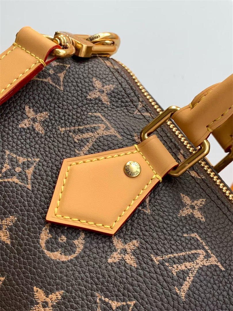 LV Speedy P9 Bandoulière 25 M41113