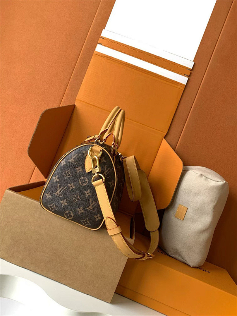 LV Speedy P9 Bandoulière 25 M41113