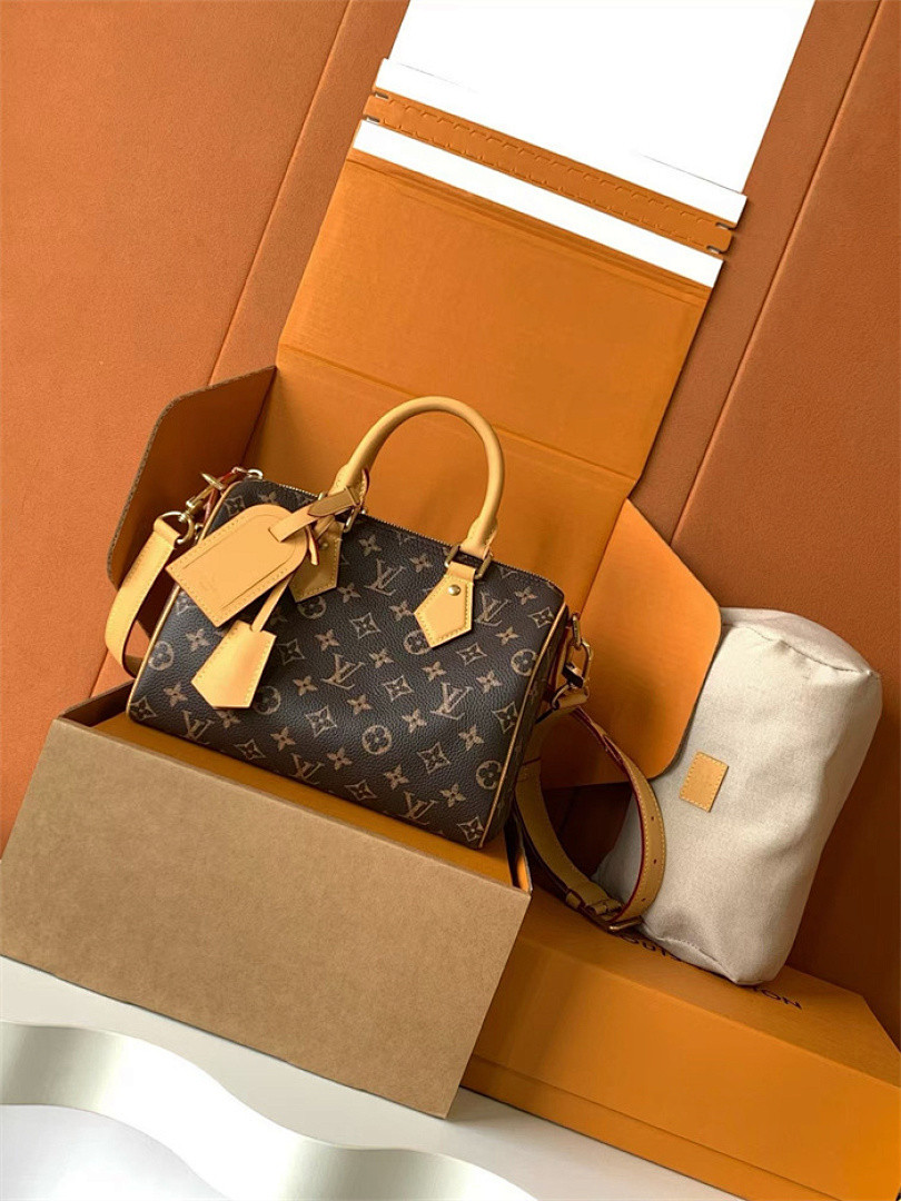 LV Speedy P9 Bandoulière 25 M41113