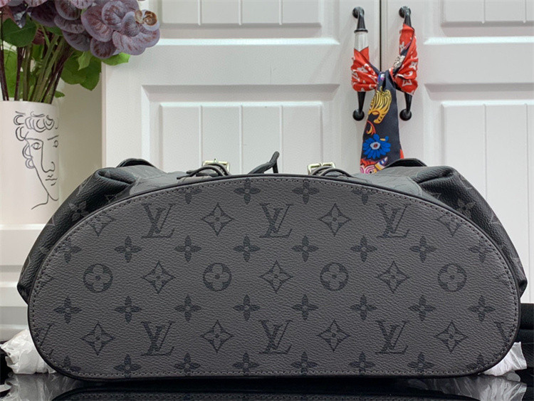 L*uis V*itton Backpack