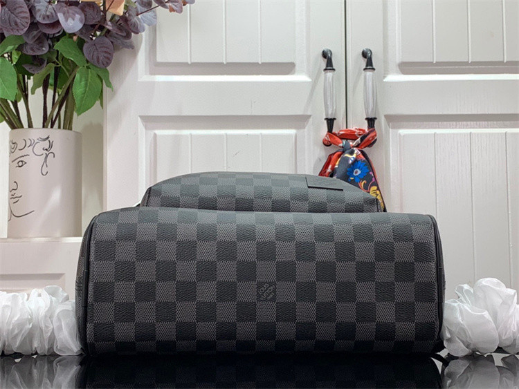 L*uis V*itton Backpack