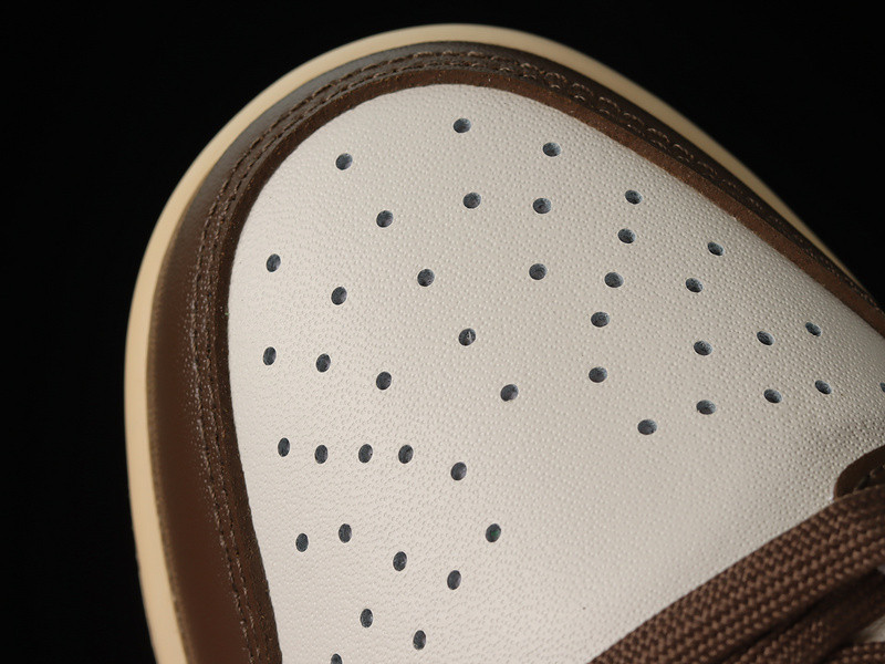 Nike Dunk Low W Cacao Wow l DD1503-124