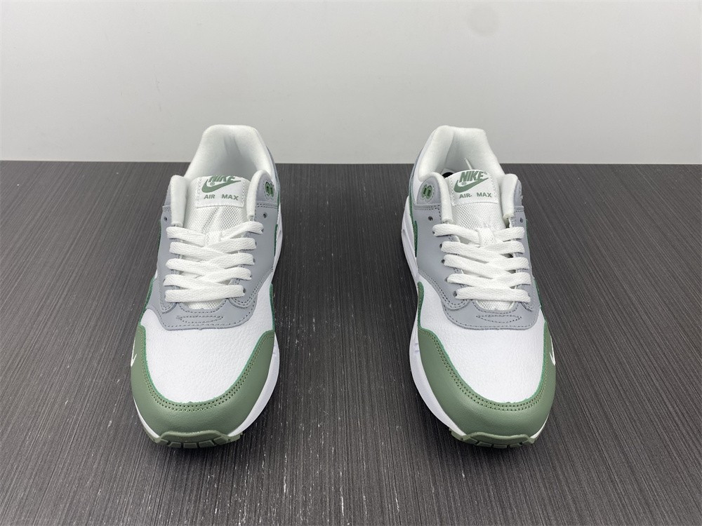 NIKE AIR MAX 1 SPIRAL SAGE DB5074-100